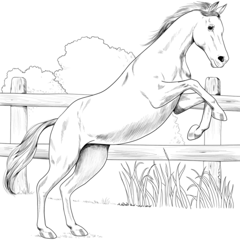 Anglo Arabian Coloring Page